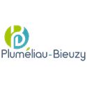 PLUMELIAU BIEUZY